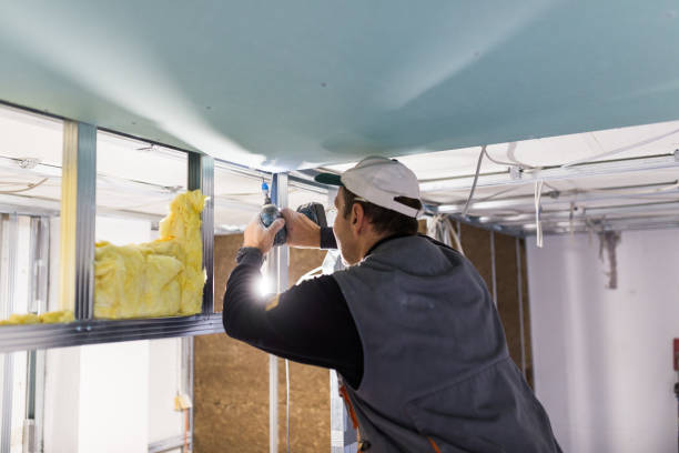 Best Insulation Inspection Services  in Stanaford, WV