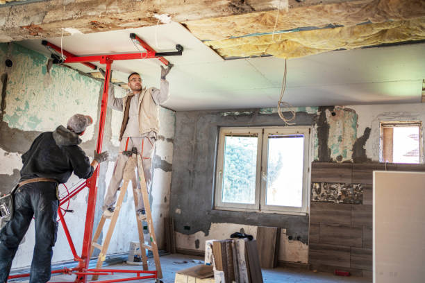 Best Residential Insulation Services  in Stanaford, WV