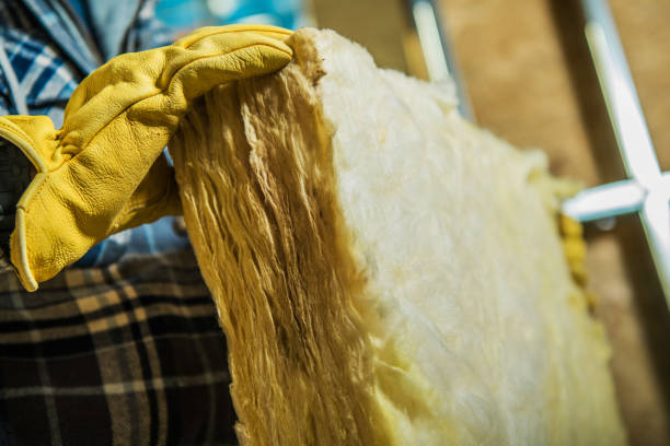 Best Insulation for New Construction  in Stanaford, WV
