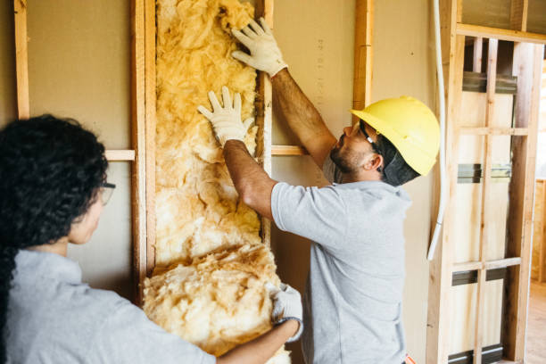 Insulation Contractors for Homes in Stanaford, WV