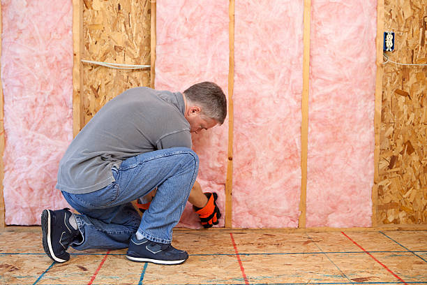 Best Commercial Insulation Contractor  in Stanaford, WV