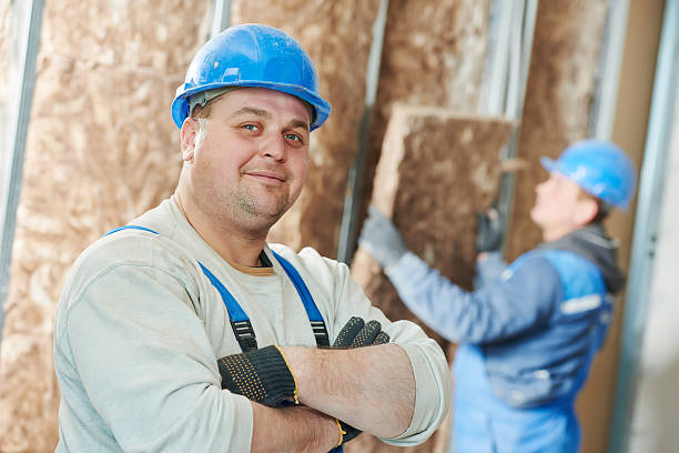 Best Professional Insulation Contractor  in Stanaford, WV