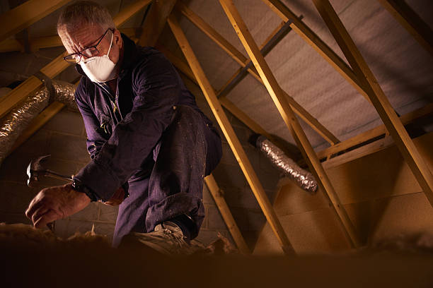 Best Fiberglass Insulation  in Stanaford, WV