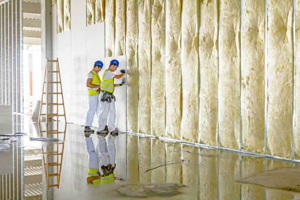 Insulation Inspection Services in Stanaford, WV
